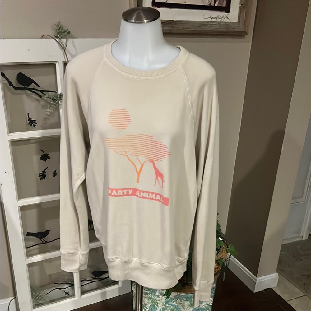 Aerie Sweatshirt